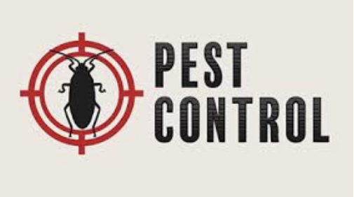 Screenshot_2019-06-22-14-12-02-656_com.android.chrome